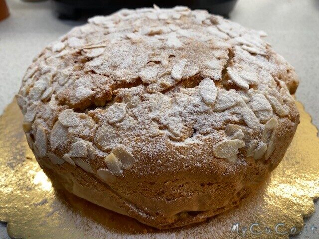 Panettone marietta col companion moulinex, pronto in un’ora e mezza