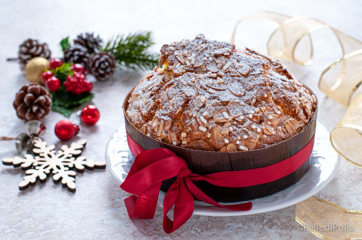 Panettone veloce senza lievitazione