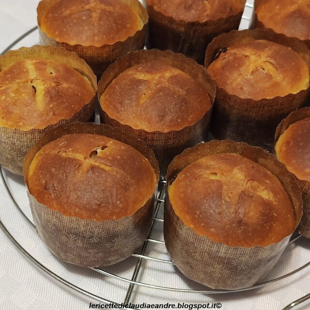 Panettoni e panettoncini all’olio con l’uvetta