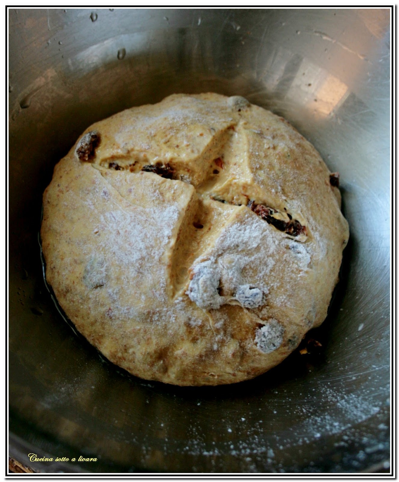 PANINA ARETINA (QUELLA GIALLA..)