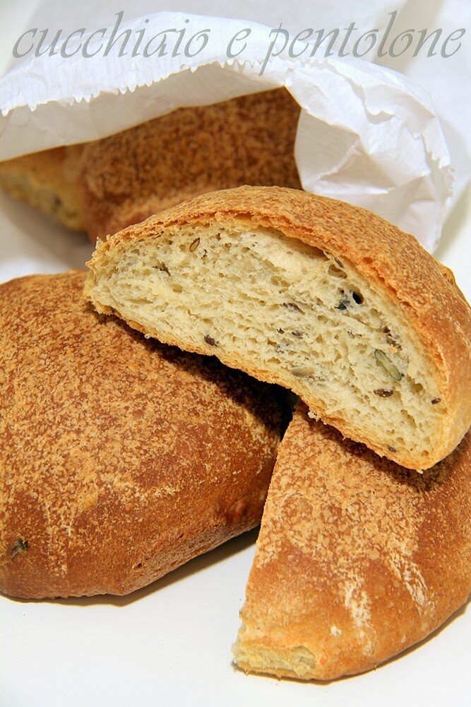panini ai semi misti e treccine alla ricotta, cotti in trasferta!