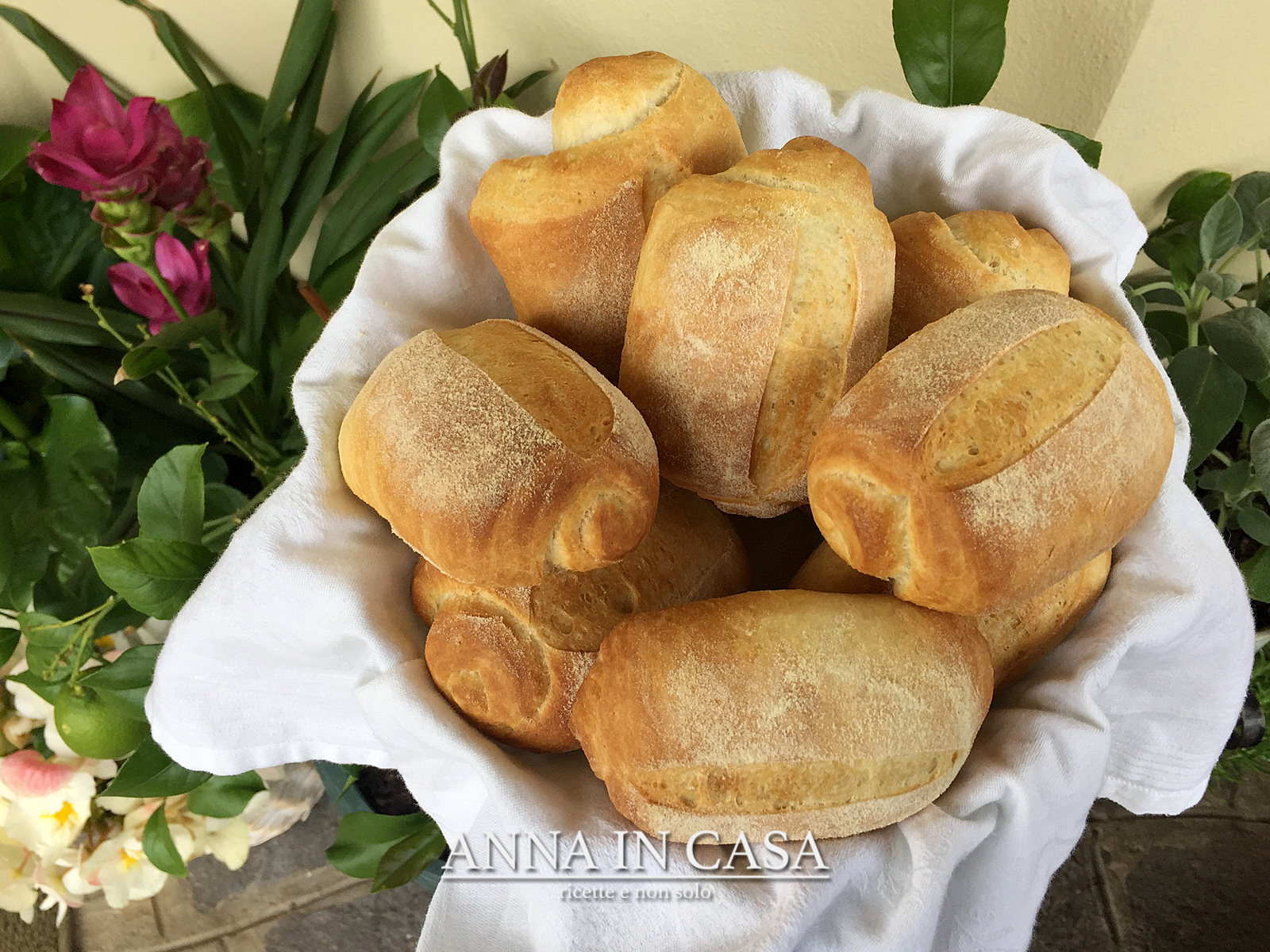 Panini all’olio croccanti fuori e morbidi dentro