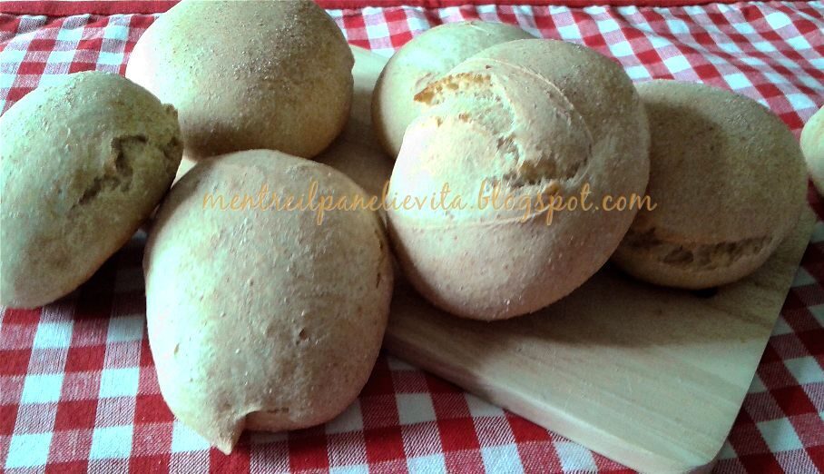 Panini di semola di grano duro