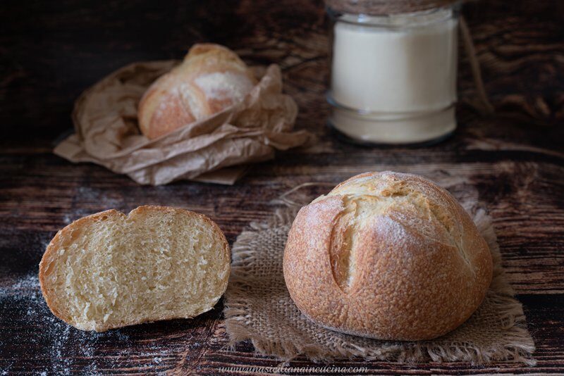 Panini di semola rimacinata