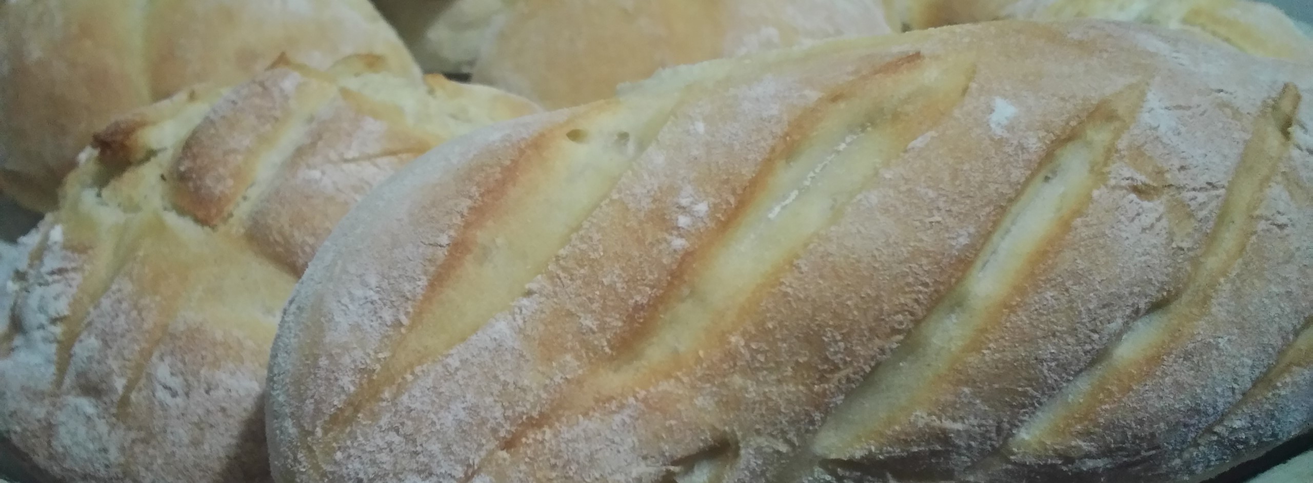 PANINI E FILONCINI