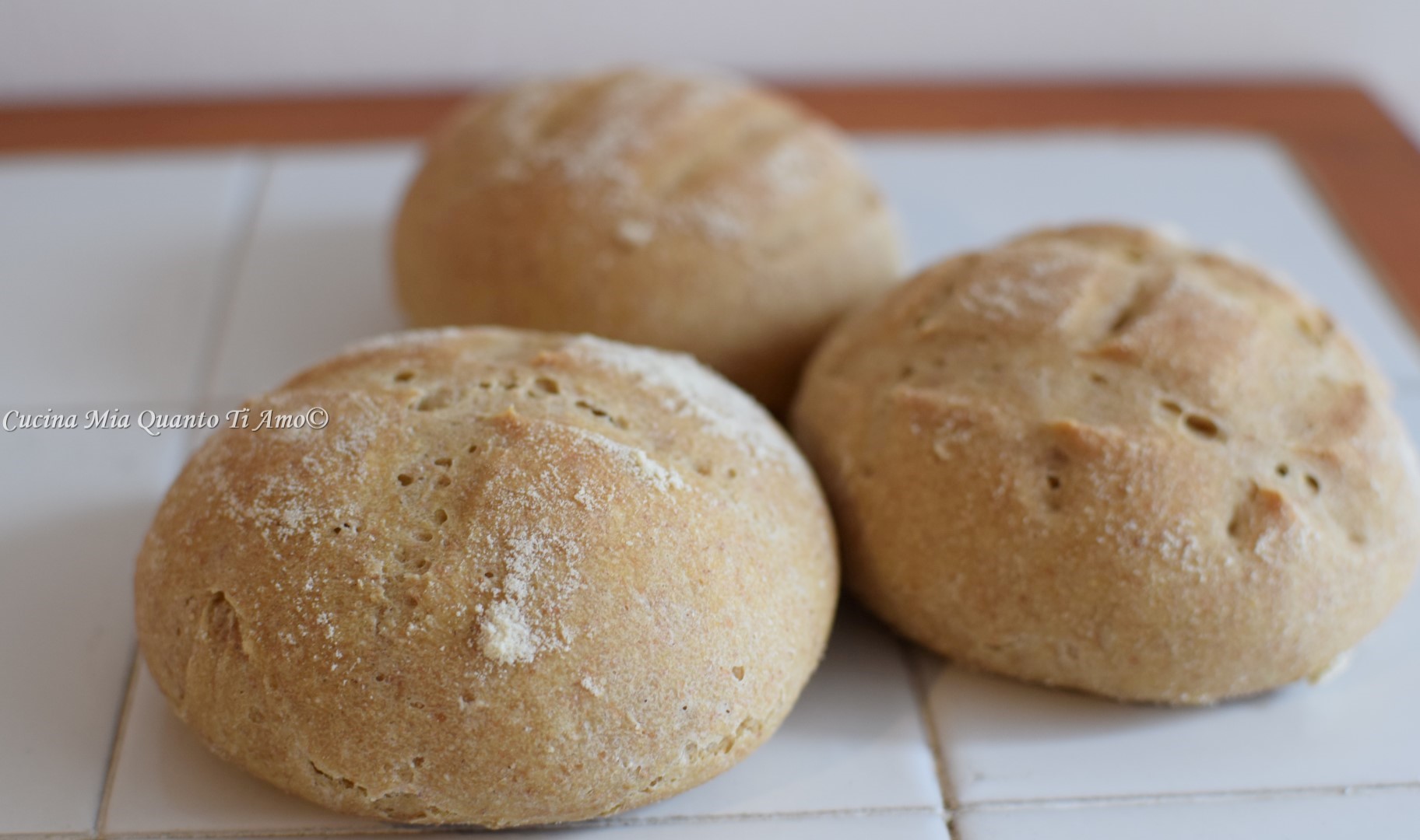 Panini morbidi semi integrali con lievito madre - lowfodmap