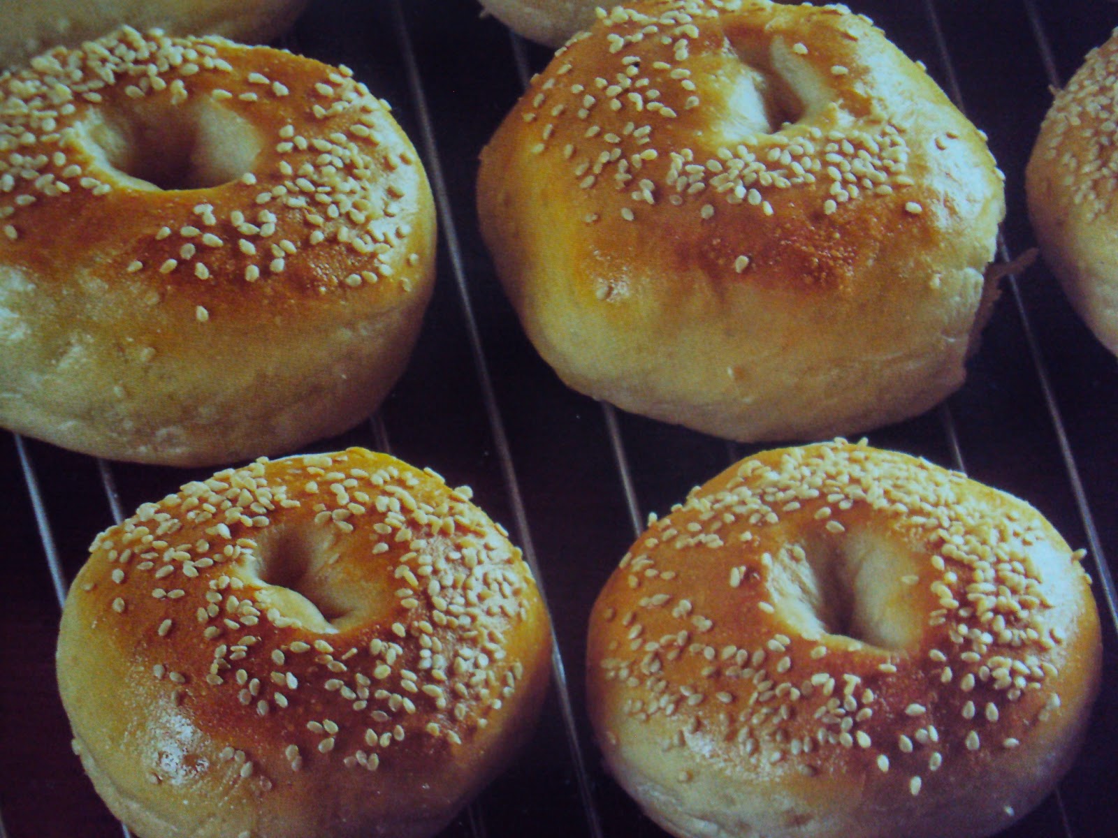 Panini semidolci al sesamo