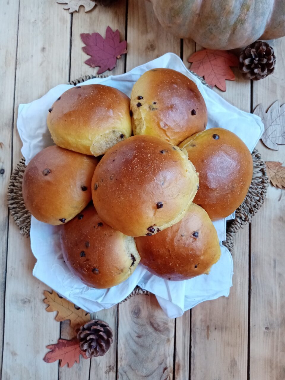 Panini zucca e cioccolato