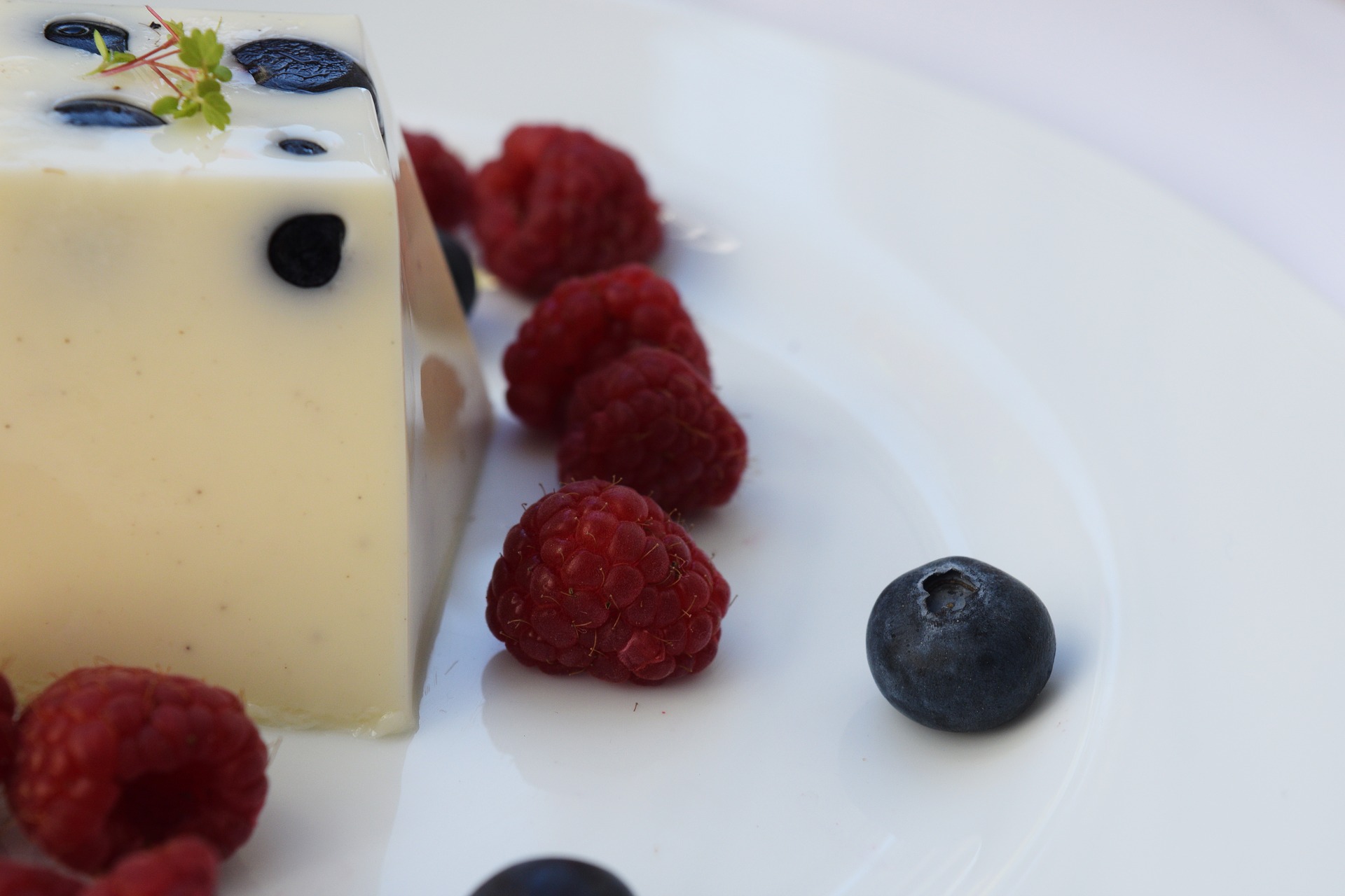 Panna cotta ai frutti di bosco : ricetta ideale per tutto l’anno