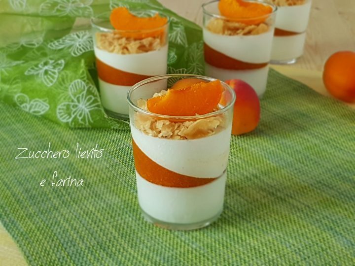 Panna cotta con gelèe di albicocche