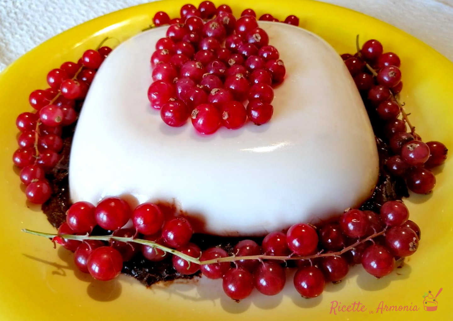 Panna cotta con yogurt e ribes