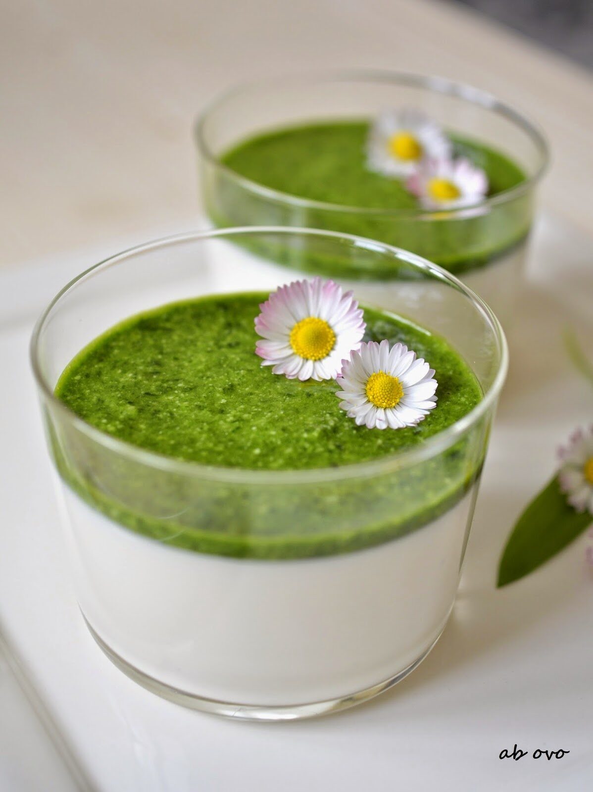 Pannacotta al caprino con pesto di aglio orsino