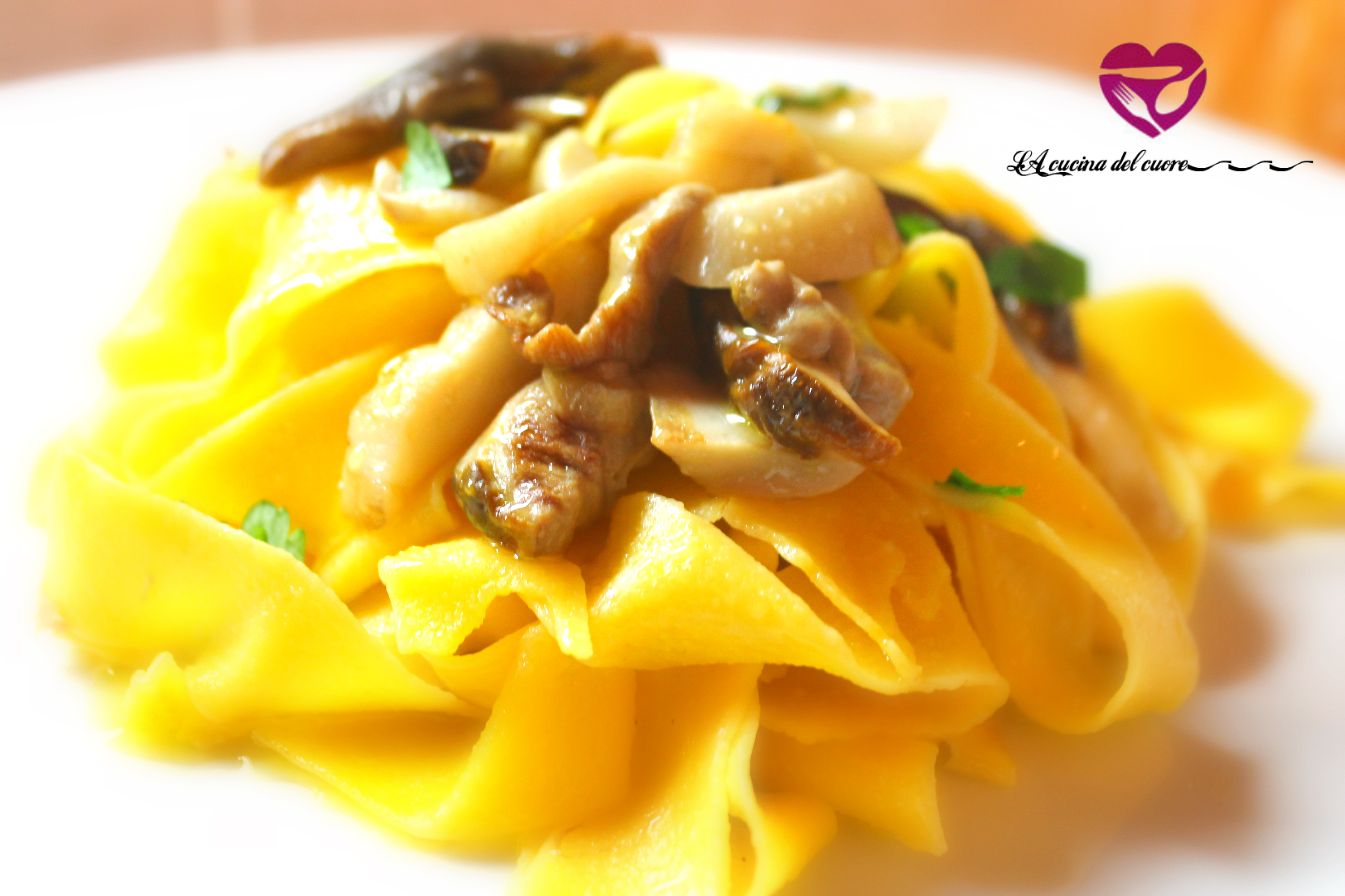 Pappardelle ai funghi porcini