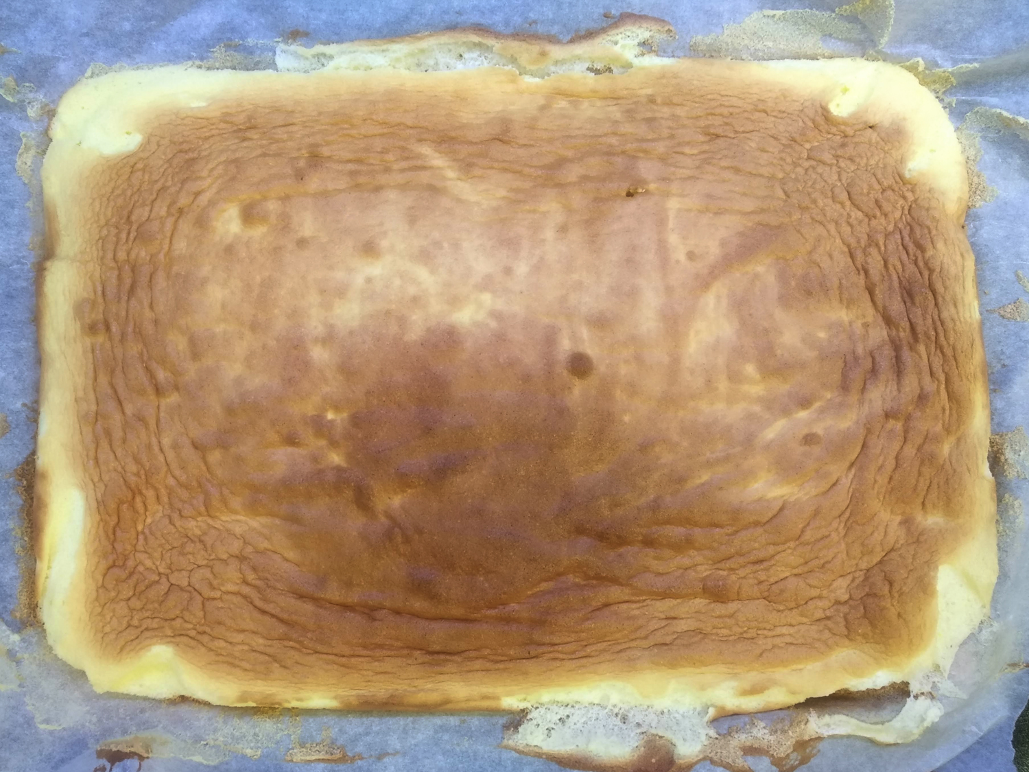 Pasta biscotto