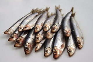 Pasta con le sarde di sergito