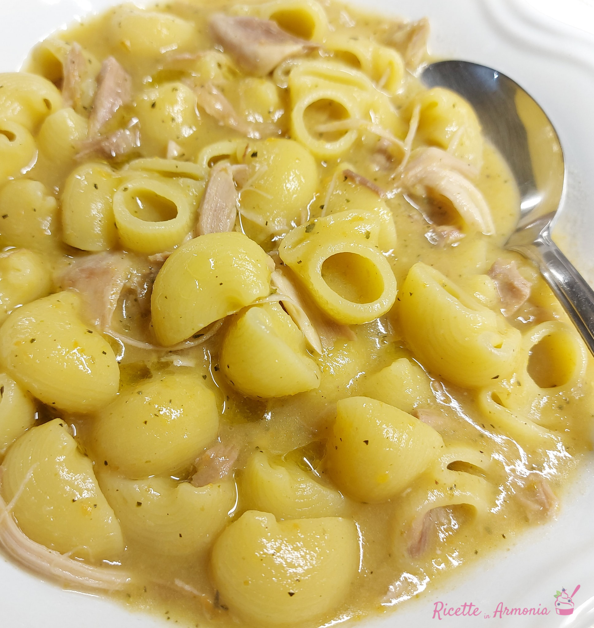 Pasta corta in crema di pollo alla siciliana