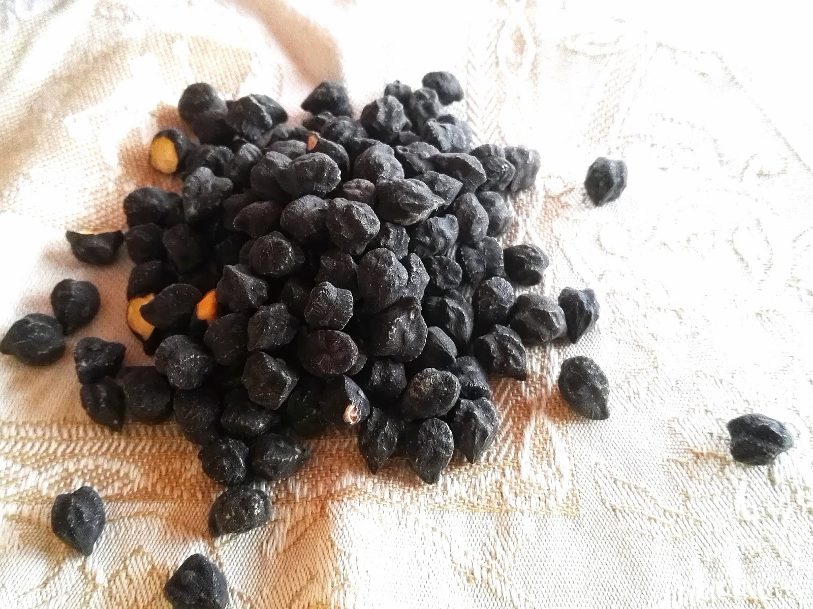 Pasta e ceci neri di tolve