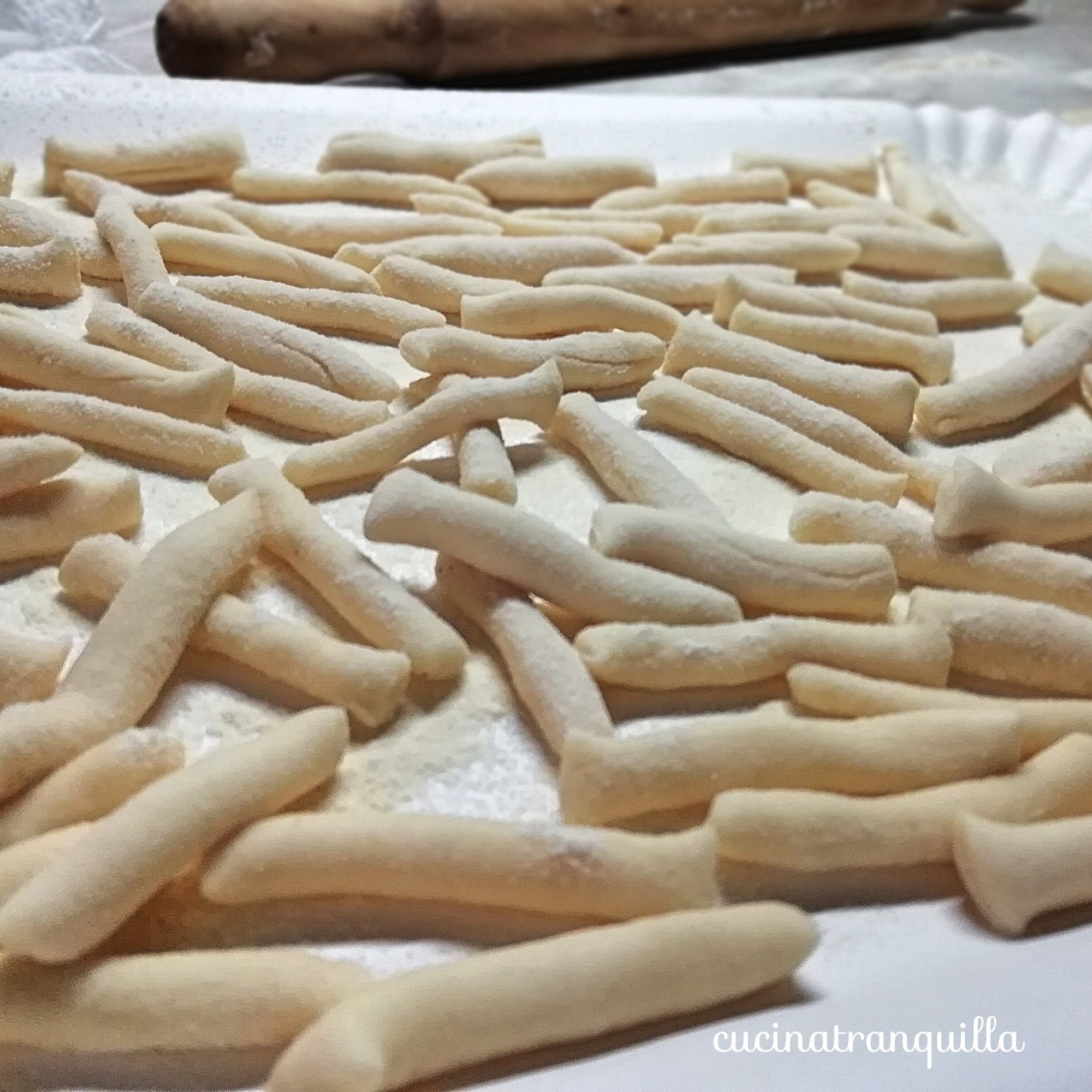 Pasta fresca fatta in casa (senza uova)