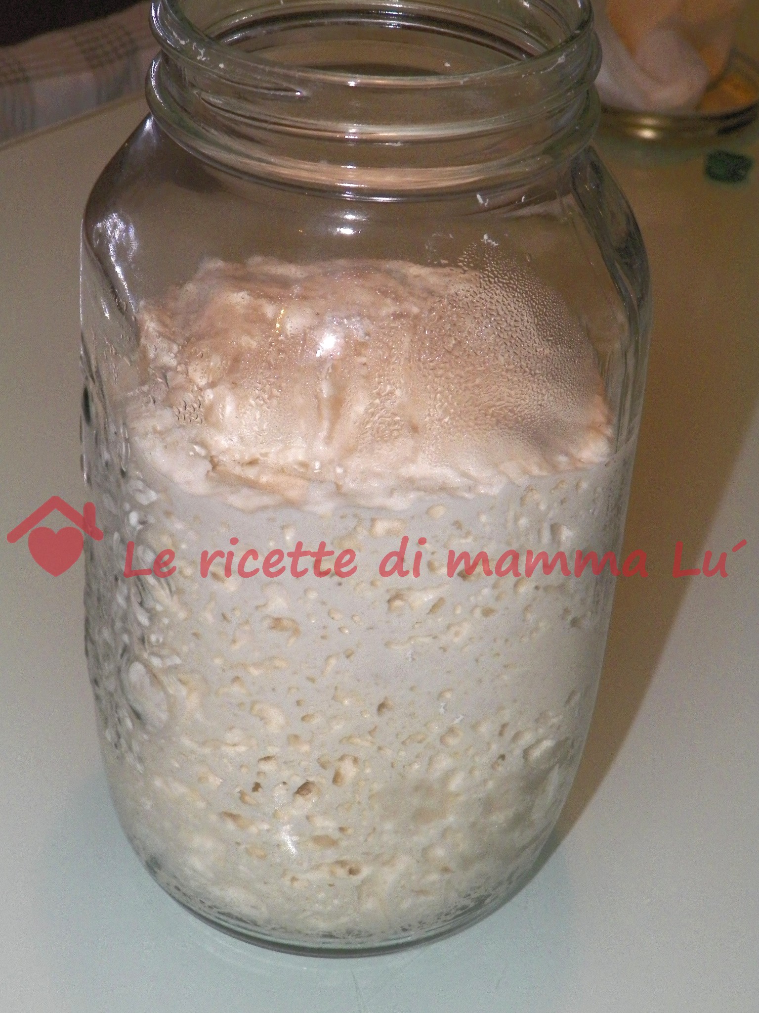 Pasta madre o lievito madre