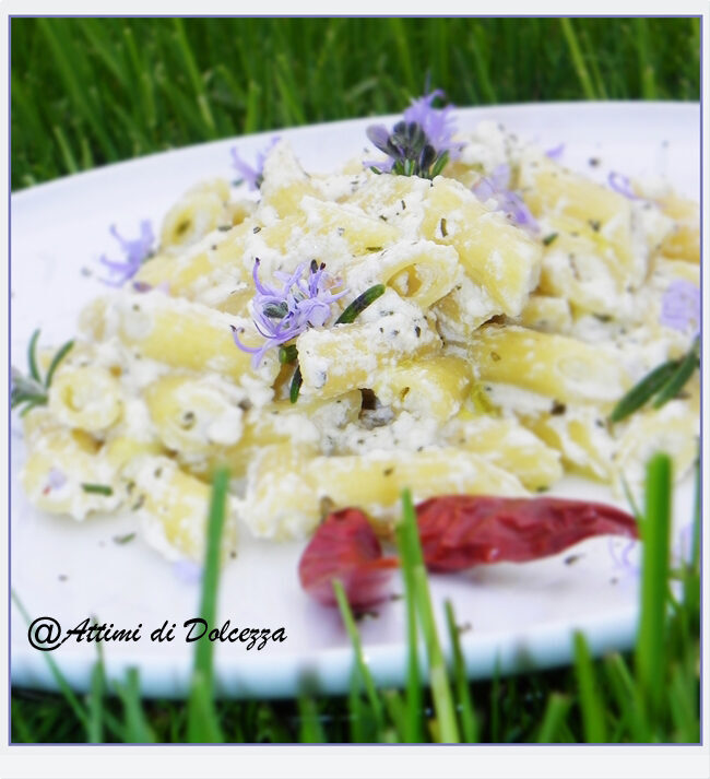 PENNE CON RICOTTA E FIORI DI ROSMARINO