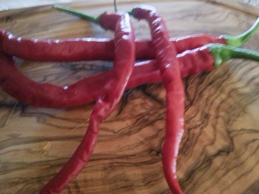 Peperoncini rossi, sott’olio, peperoncino in polvere, o verde…