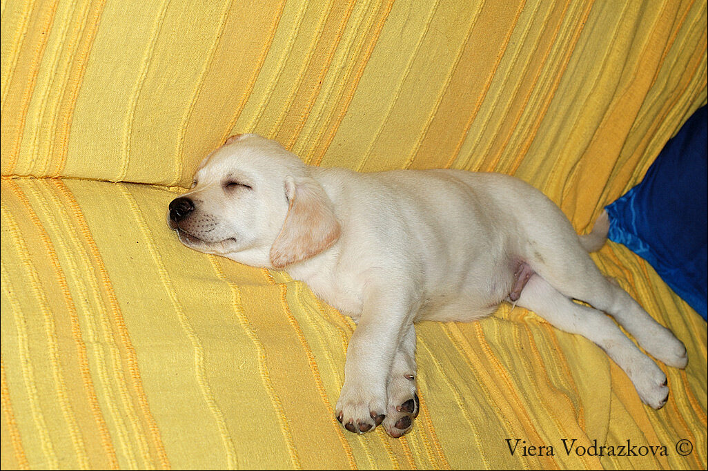 Per arthas con amore per sempre