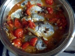 Pesce sarago chiappara pomodorini cipolla aglio