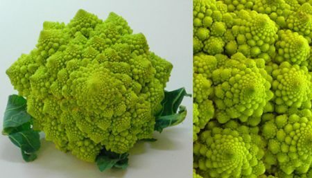 Petto di pollo al ”romanesco”