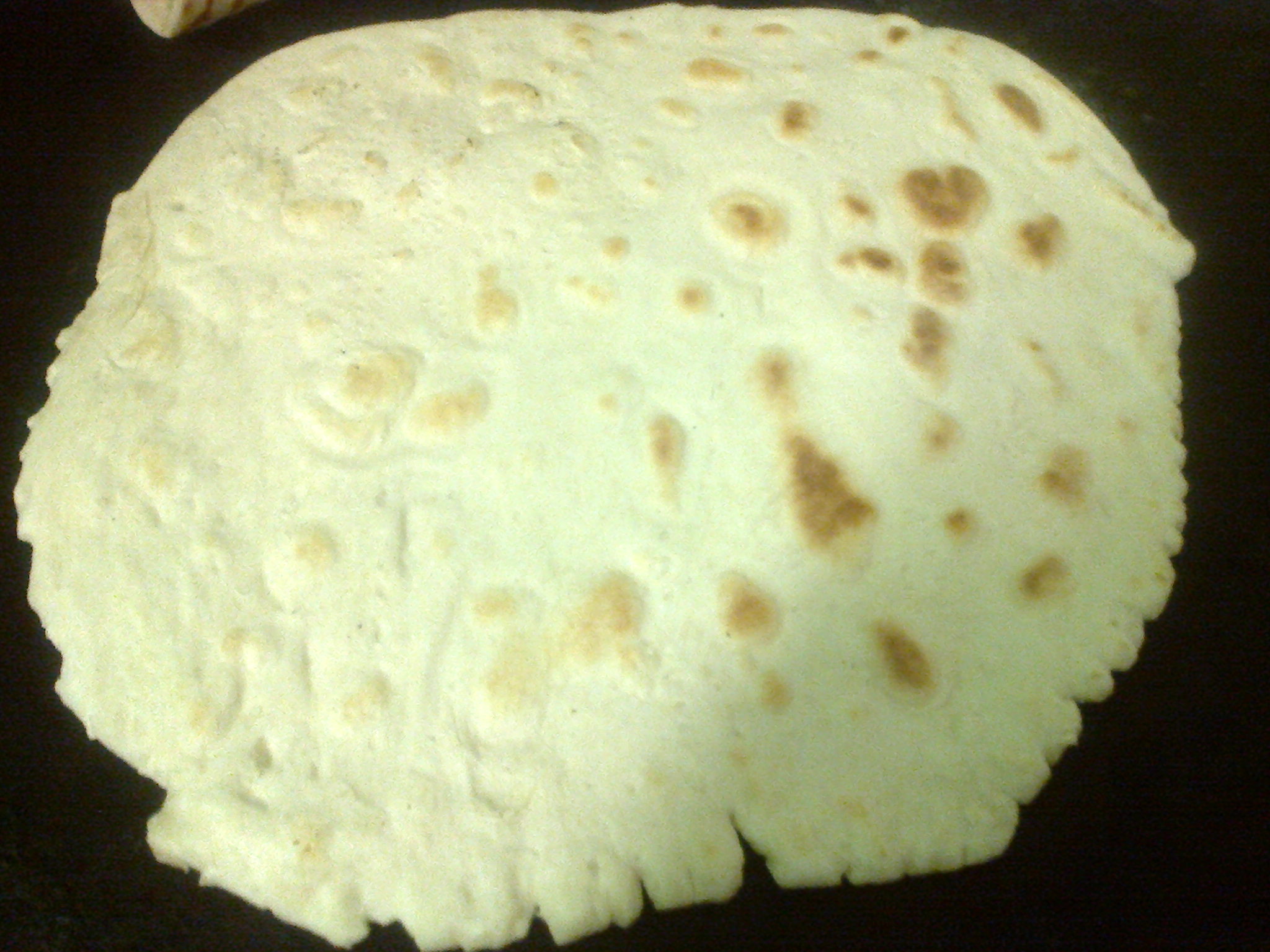 Pita cotta sul testo