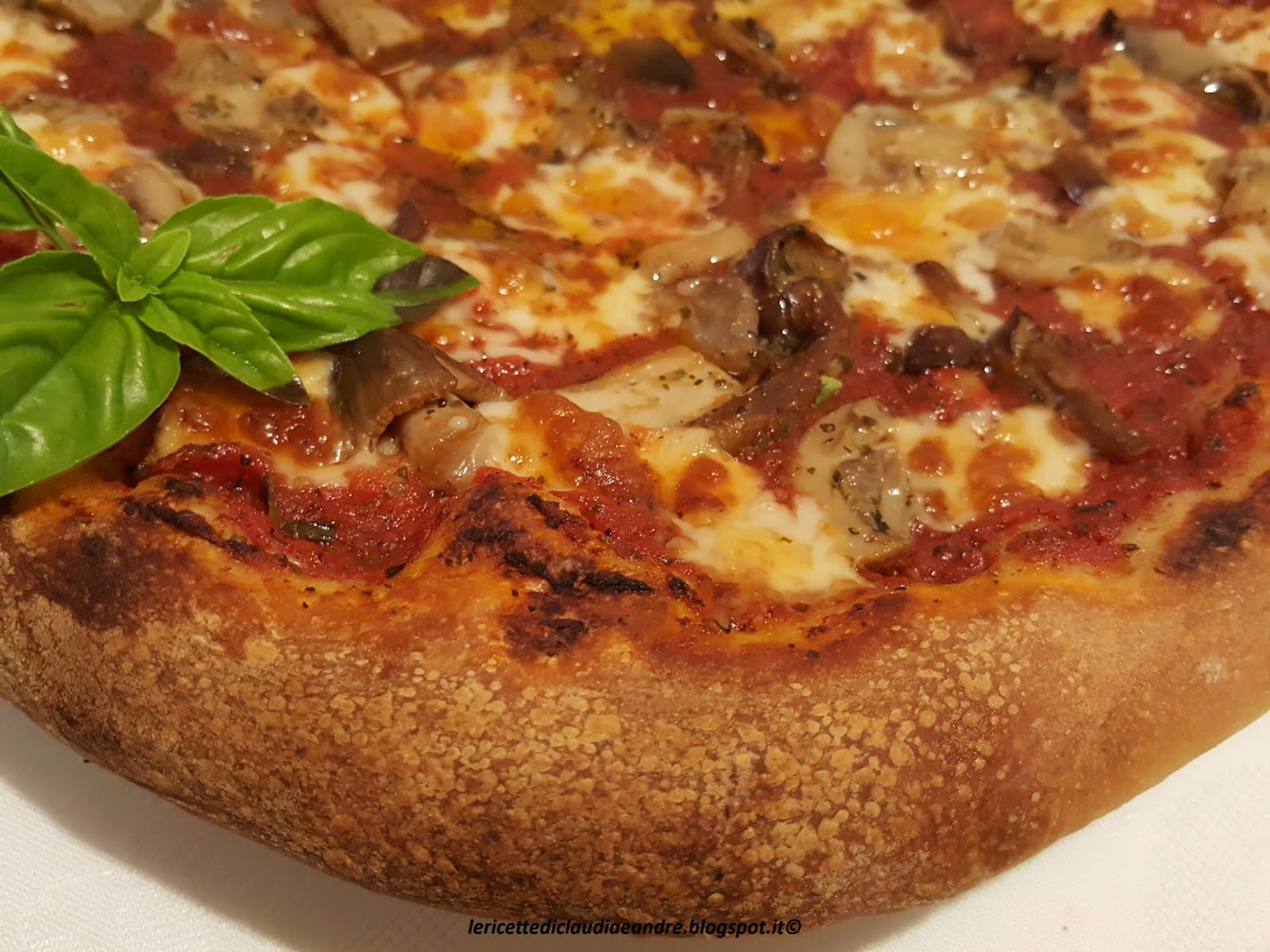 Pizza con funghi, caciotta e lievito madre