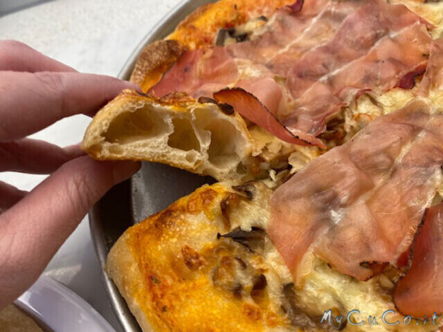 Pizza con impasto al farro e lunga lievitazione col companion moulinex
