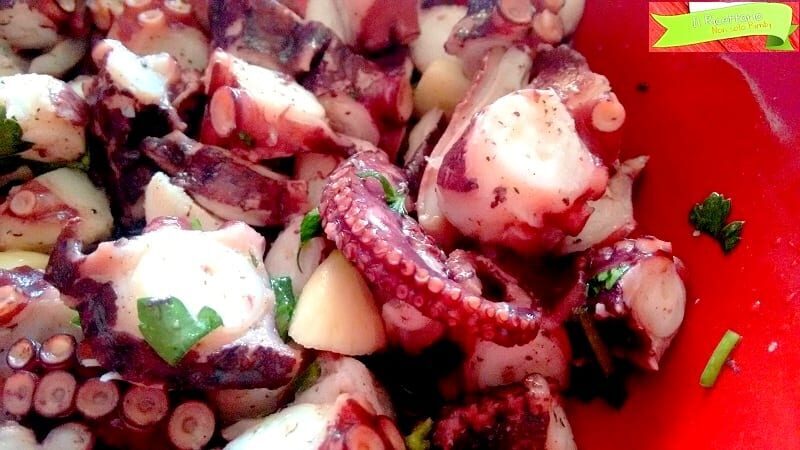 Polpo in insalata, la ricetta per farlo venire tenero
