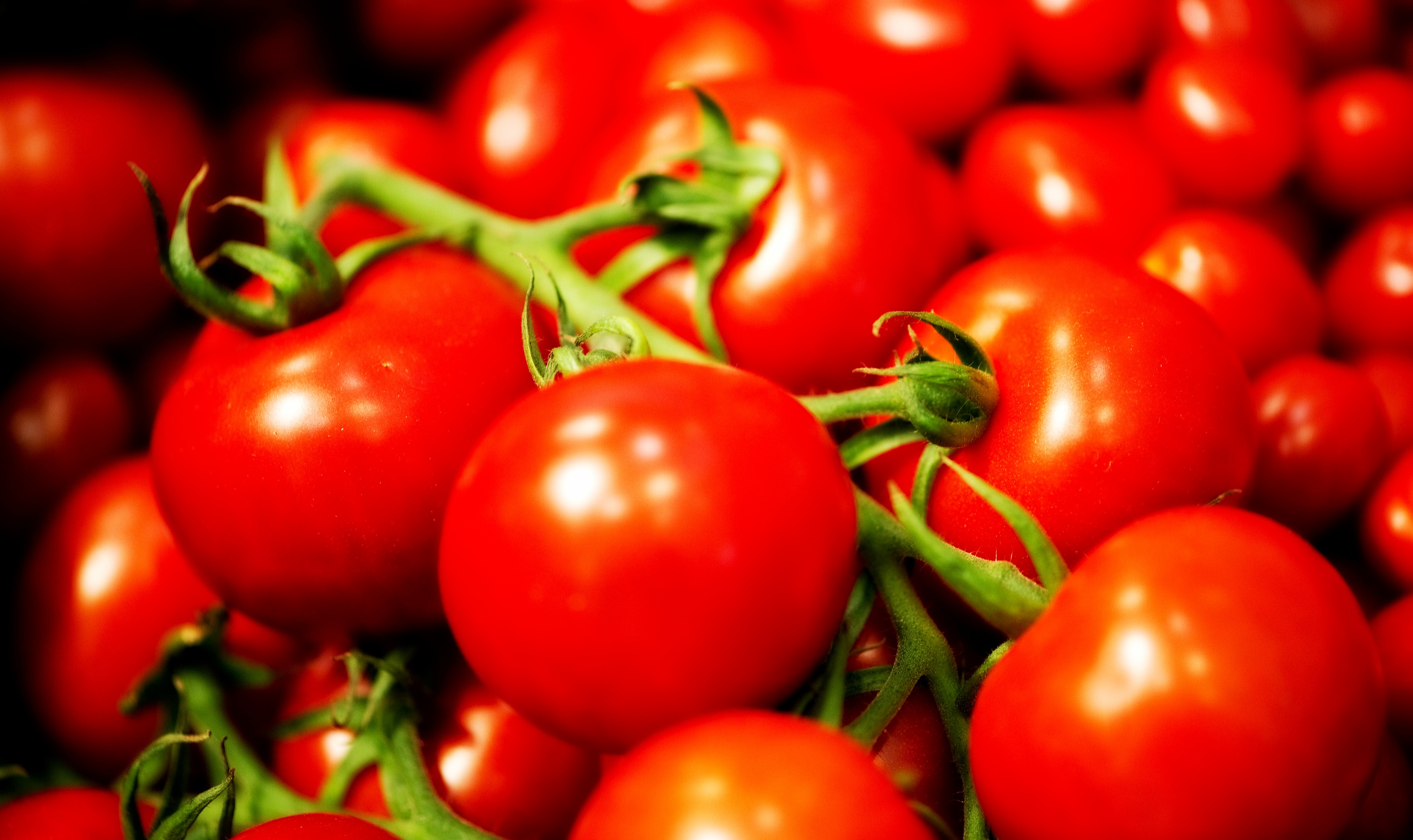 Pomodori, amici del cuore e delle ossa