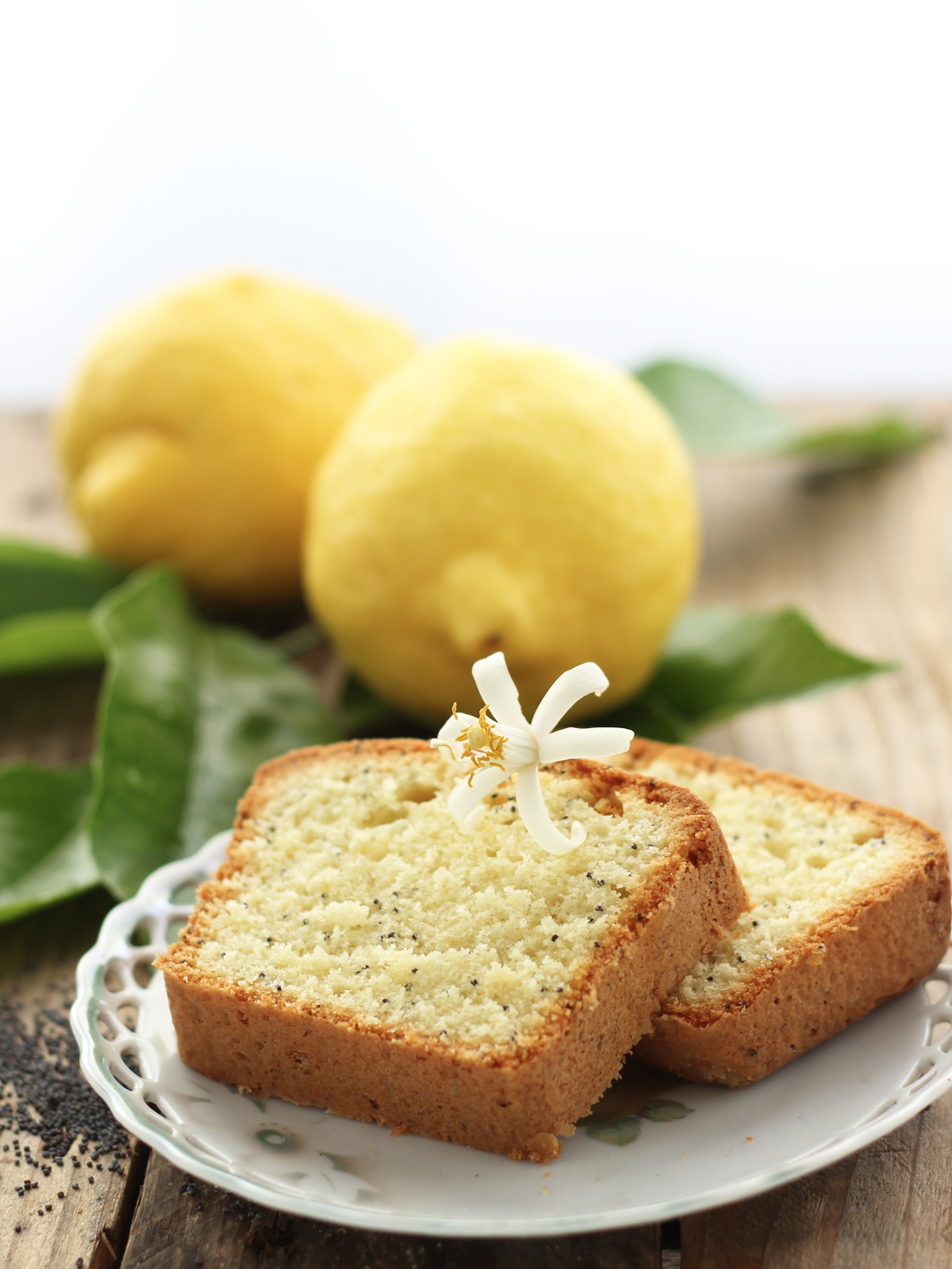 Poppy seeds citrus cake