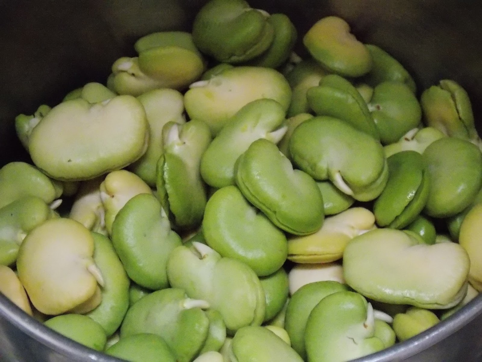 Purea  di fave fresche