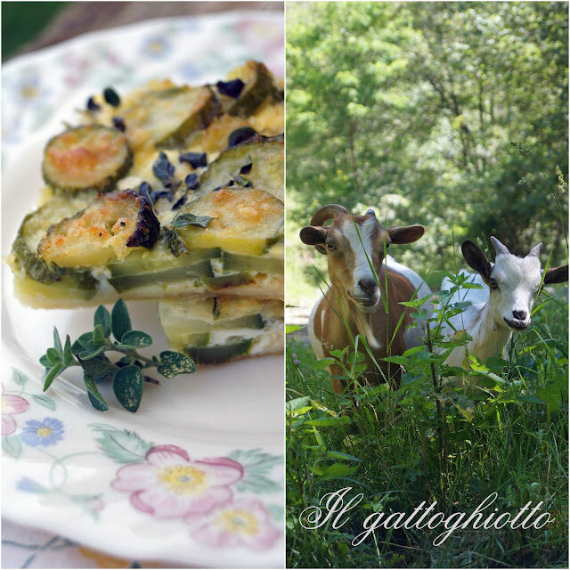 Quiche agli zucchini, toma di lanzo e maggiorana