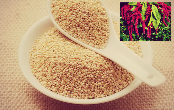 Quinoa senza glutine, il “supercibo” del 2000 che dona energia