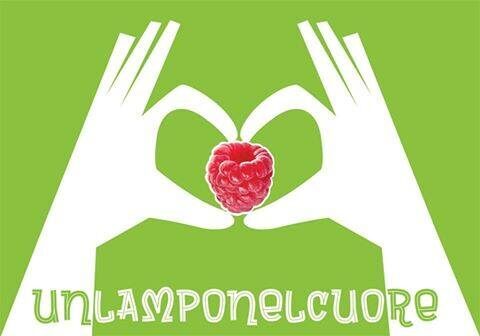 Raspberry merengue pie per unlamponelcuore