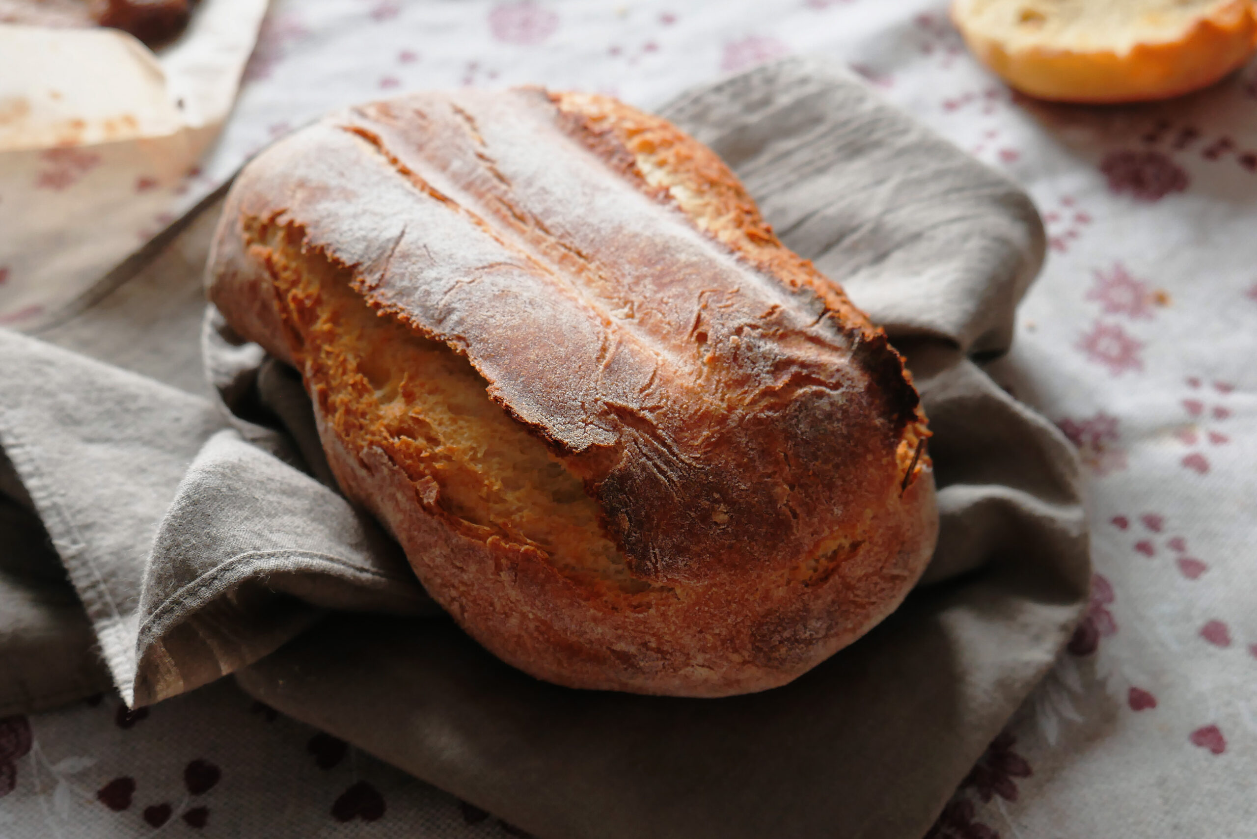 Ricetta del Pane a base di Grano Antico “Saragolla”