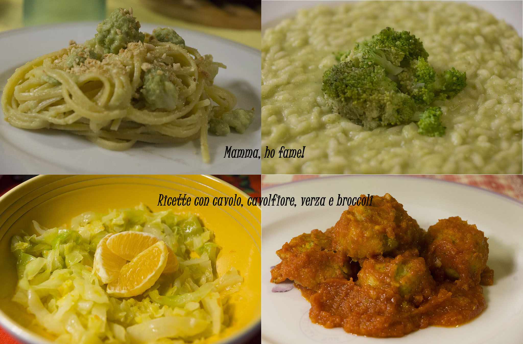 Ricette con cavolo, cavolfiore, verza e broccoli