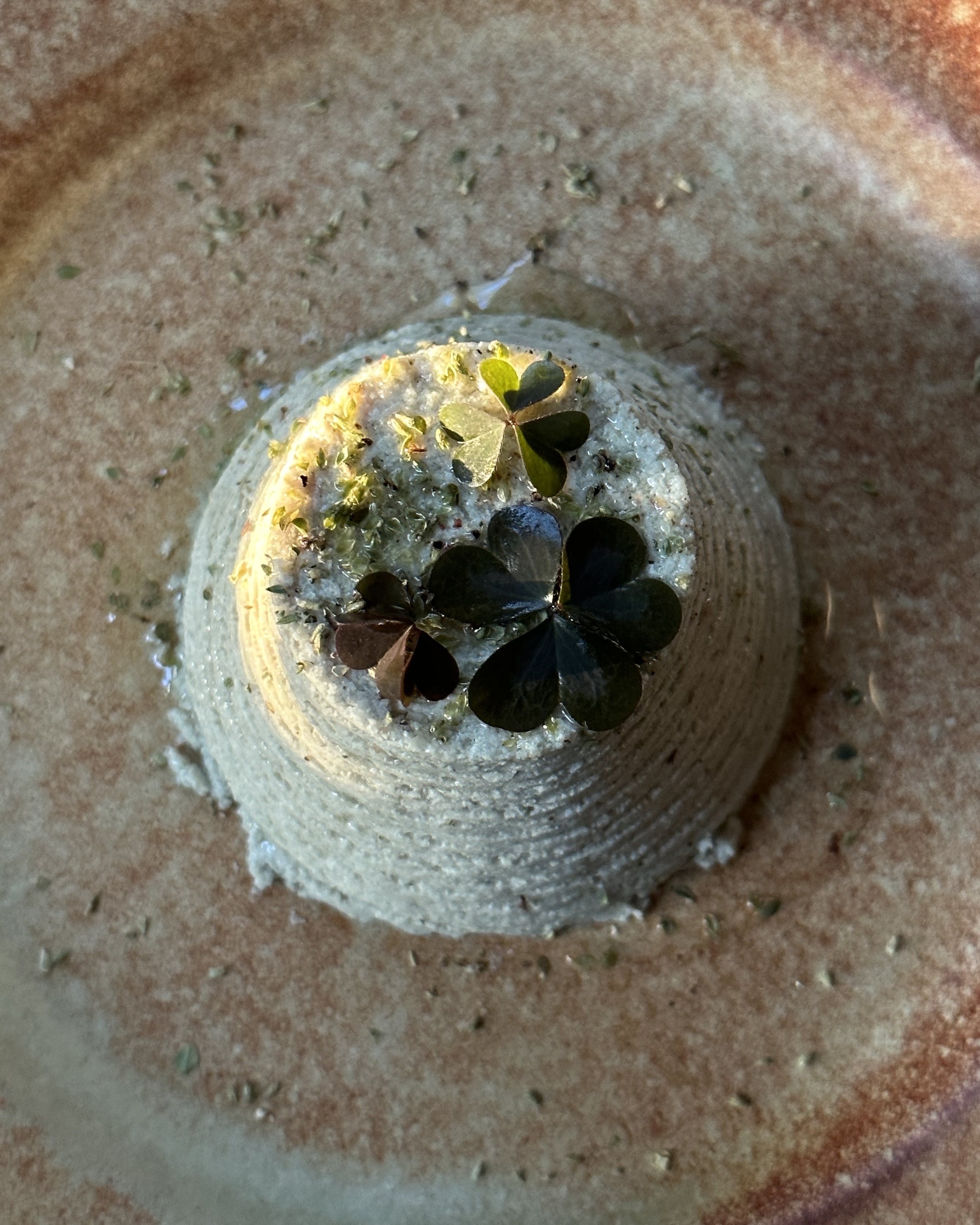 Ricotta di semi di zucca