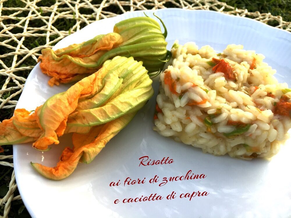 Risotto ai fiori di zucca e caciotta di capra