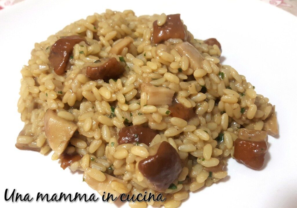 Risotto ai funghi porcini