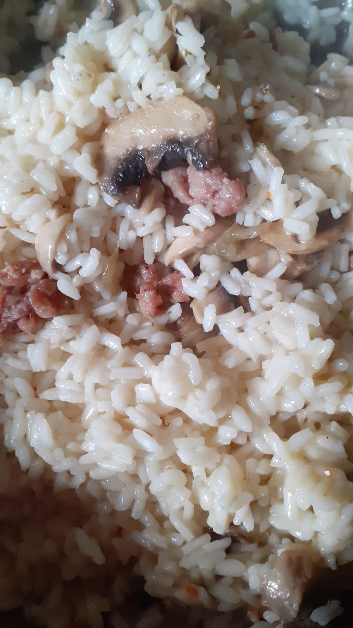 Risotto ai funghi