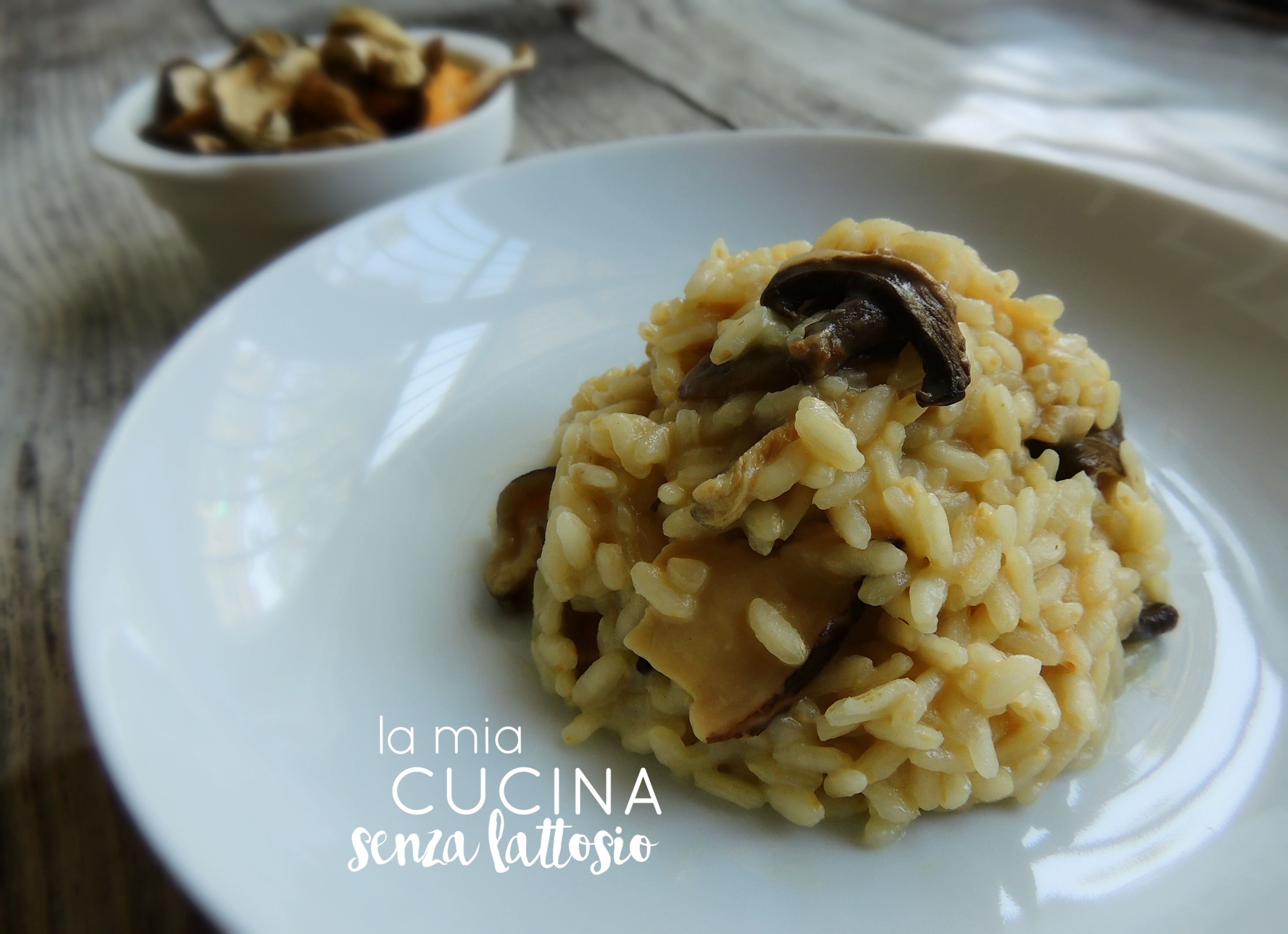 Risotto ai funghi senza lattosio