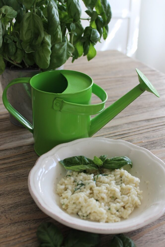 Risotto al basilico