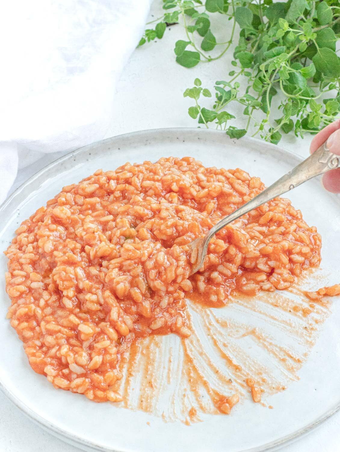 Risotto al pomodoro senza burro, cremoso e leggero – tutti i nostri segreti