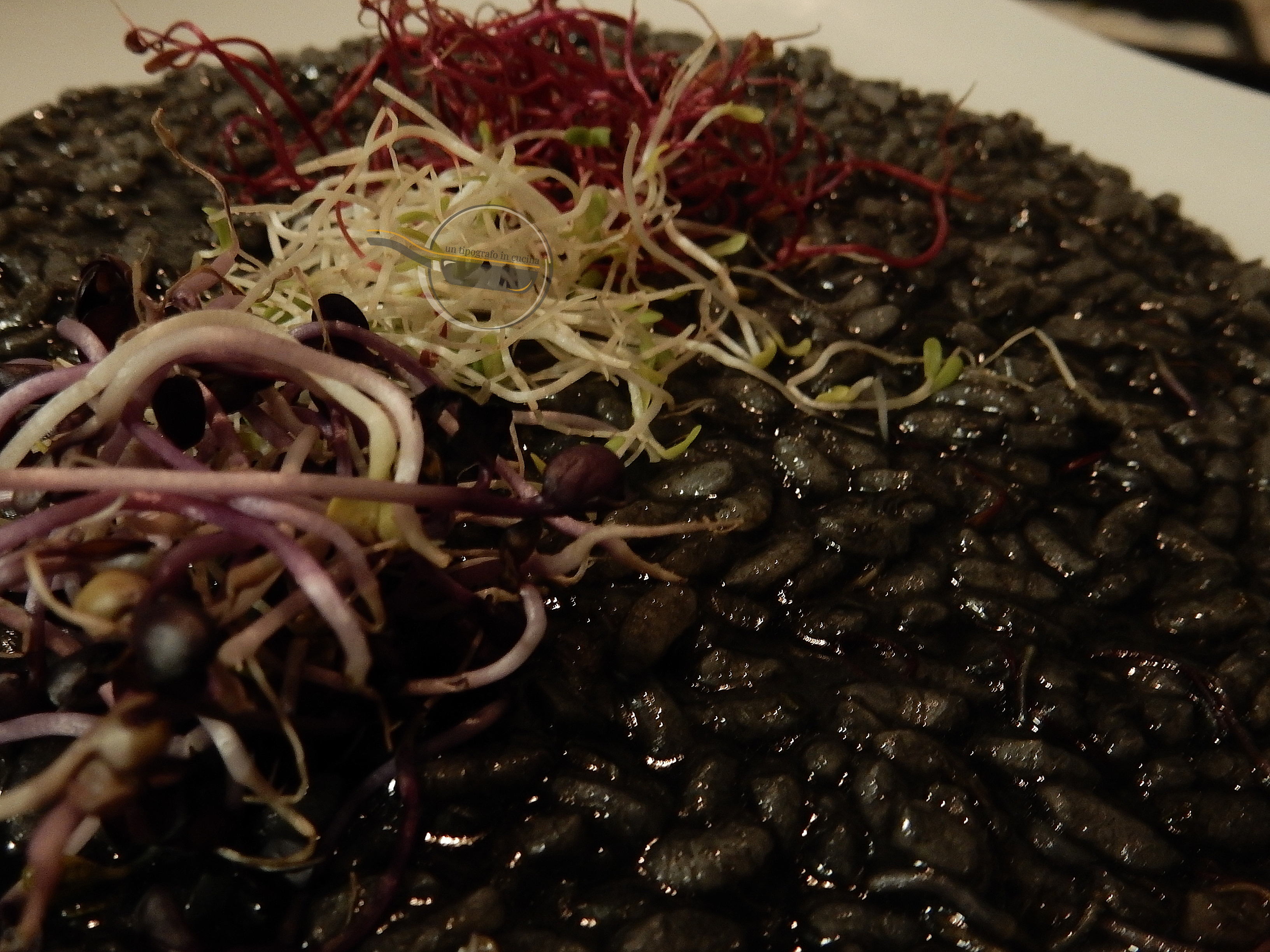 Risotto al tonno, nero di seppia e mix di germogli…