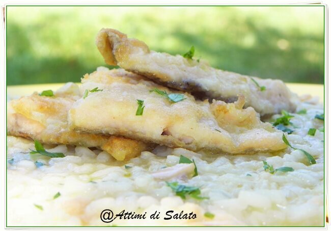 Risotto alla trota salmonata