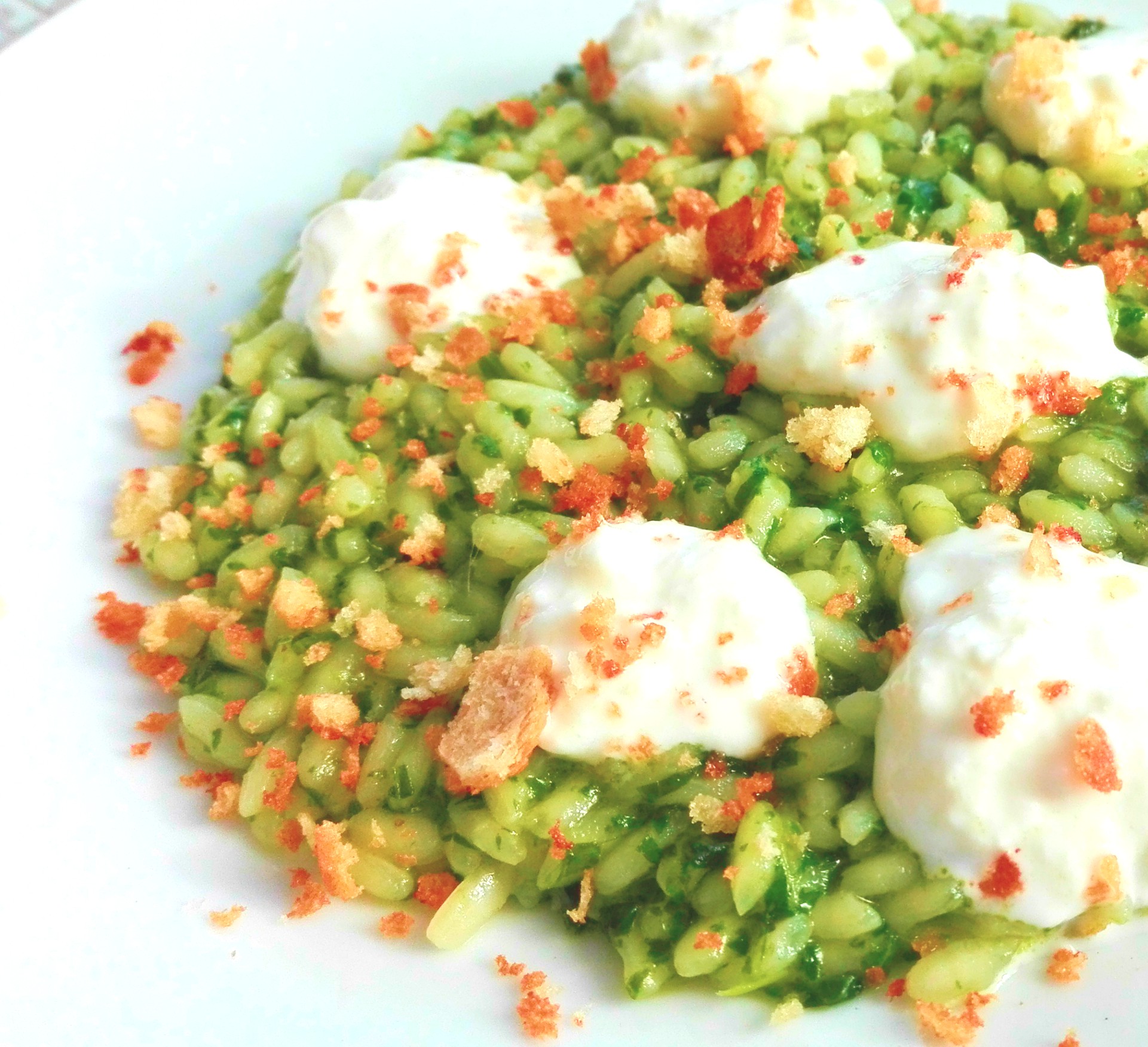 Risotto alle cime di rapa, stracciatella,briciole croccanti d’acciughe